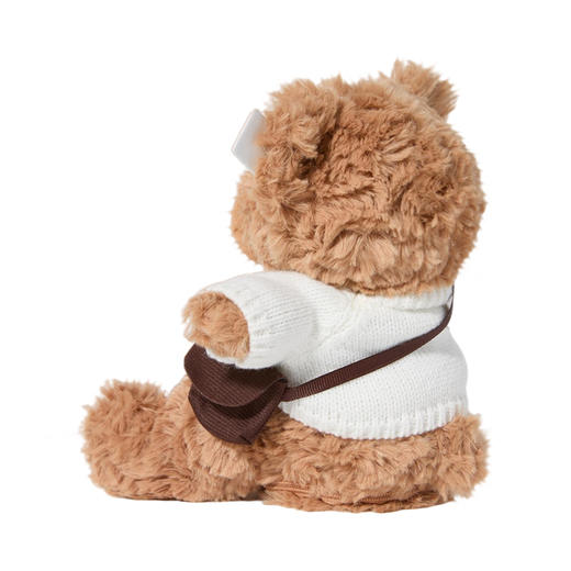 KIDSROYAL 萌趣摇摆泰迪熊 JM-250802 商品图13