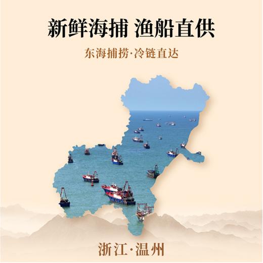 温州鱼饼125g/包（5包），优选东海海域野生鮸鱼脊背整块肉，纤维细腻、脂肪含量低，无明显土腥味，肉质比淡水鱼更紧实 商品图4