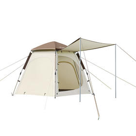 外交官 六角自动帐篷-东方暖茶DFJ-119