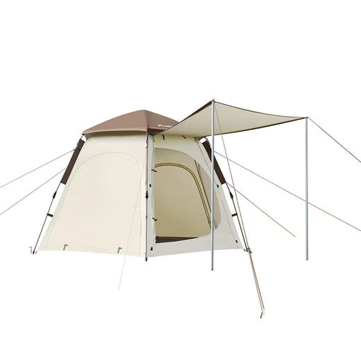 外交官 六角自动帐篷-东方暖茶DFJ-119 商品图0