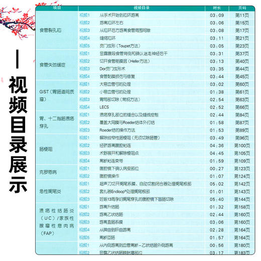 良性/急症的标准化腹腔镜手术：消化道篇 掌握手术技巧 附视频 王利明 主译 消化外科学 9787559141248 辽宁科学技术出版社 商品图3