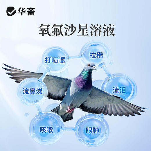 华畜氧氟沙星溶液鸽用呼吸道泌尿感染水便呼噜抗菌拉稀水便鸽药 商品图2