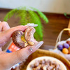 【美味干坚果】紫衣腰果 商品缩略图3