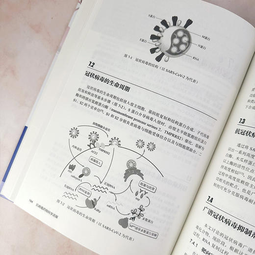 抗病毒药物化学进展 商品图7