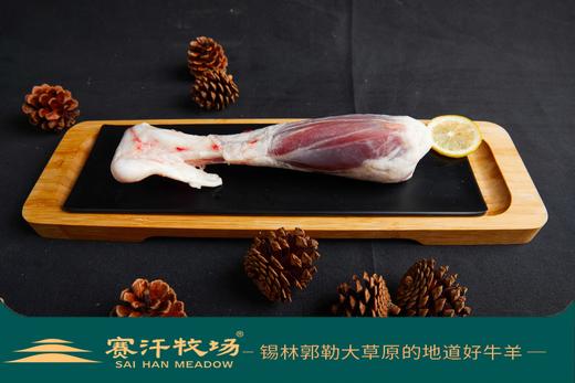 赛汗牧场苏尼特羔羊前腱||呼和浩特基地直发 商品图1