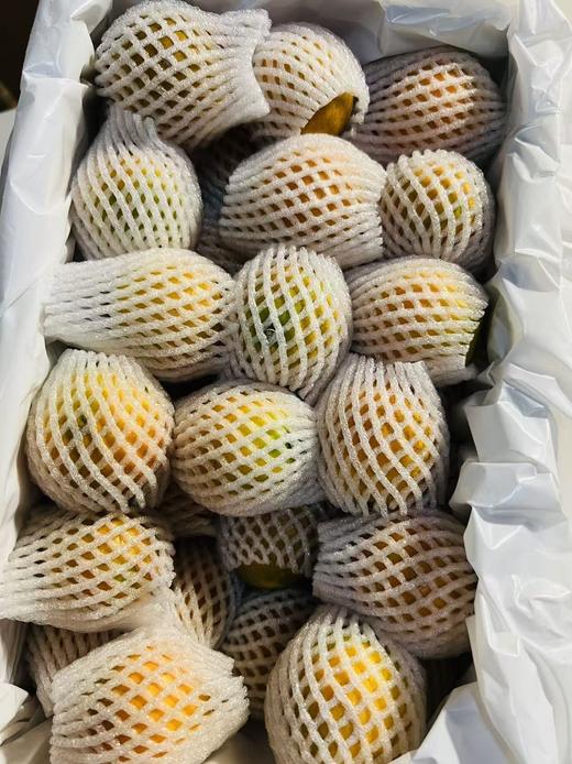 蜜蛋金柑  改良品种 当之无愧千里挑一 脆嫩多汁 皮软软肉甜甜 润嗓又刮油！ 商品图4