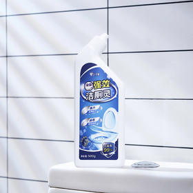 王子登 洁厕灵 500g/瓶