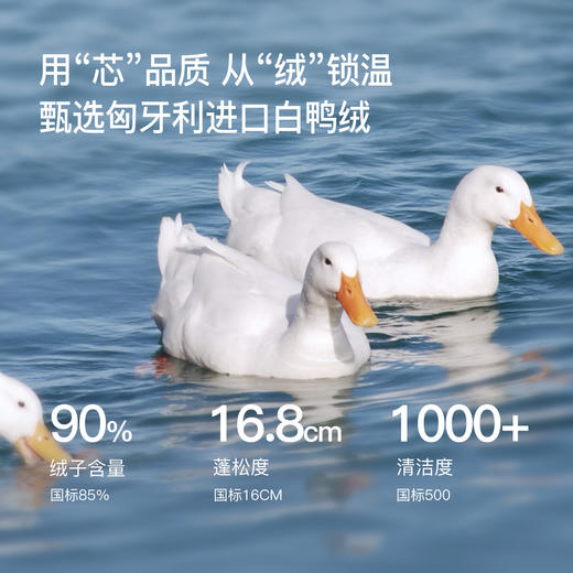 【12/24新品6.5折】熙世界龟背泡芙紫色羽绒服女短款小个子冬装白鸭绒连帽面包服外套 商品图2