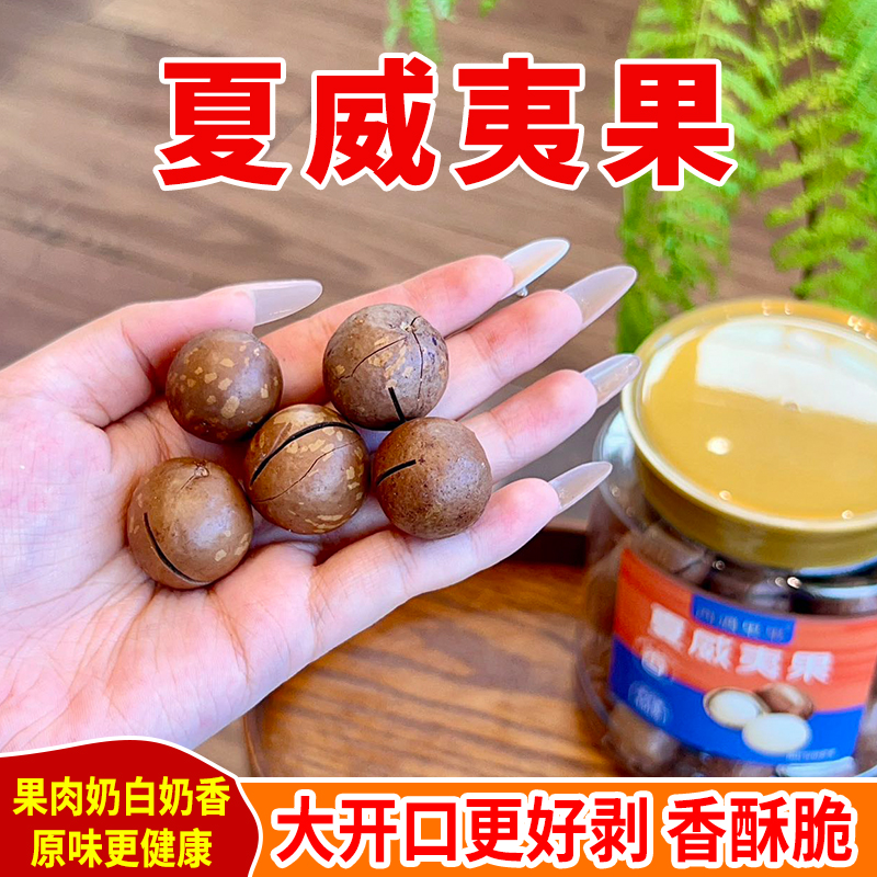 【美味干坚果】夏威夷果