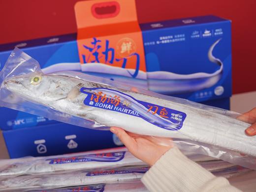 渤海冷水域野生精品大宽带鱼基地直邮 商品图0
