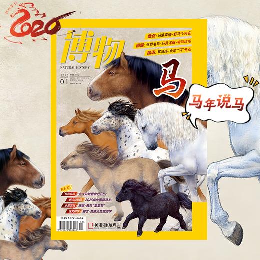 《博物》202601   马年说马 马家“八骏”  含马专题拉页 商品图2