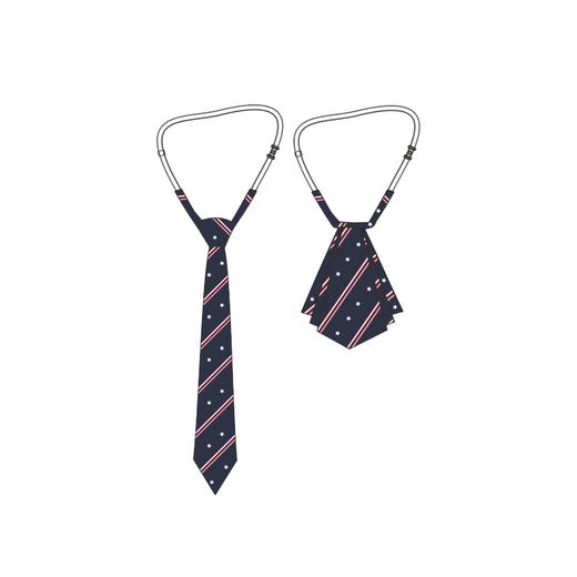 渝北区龙兴实验小学—领带/领花 商品图0