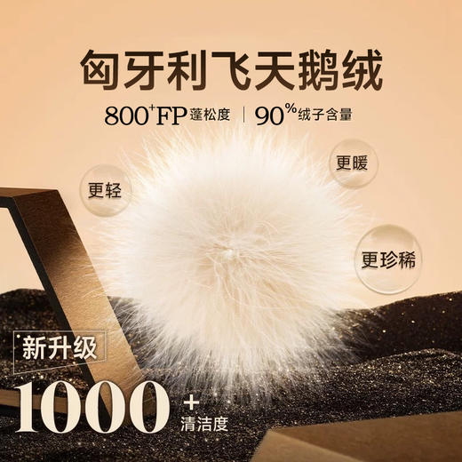 奇动童装【雪花泡芙】儿童保暖羽绒服春秋款白鹅绒儿童中大童外套DER24664 商品图3