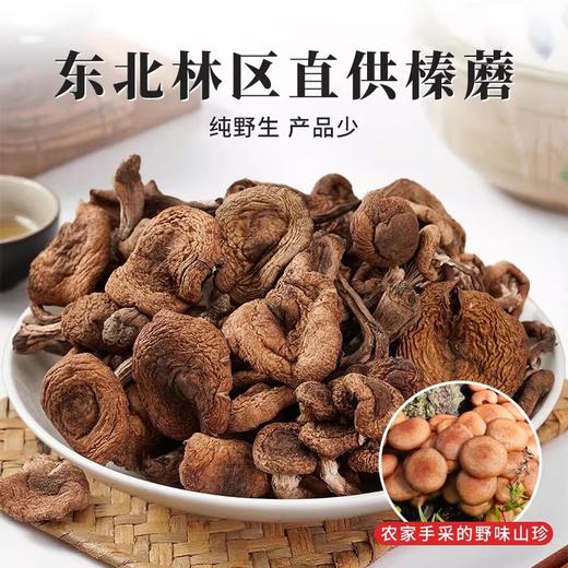 在菌屋 东北榛蘑250g/袋 肉厚无根 脆嫩润滑 商品图1