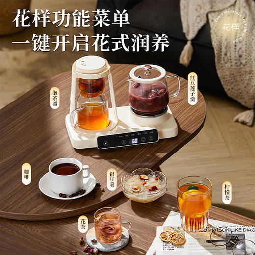 艾贝丽双杯养生壶ABL-YSH624 商品图7