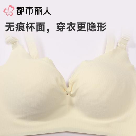 都市丽人红品内衣中厚薄文胸泳布3/4杯内衣三排四扣无钢圈LBC2C80 商品图5
