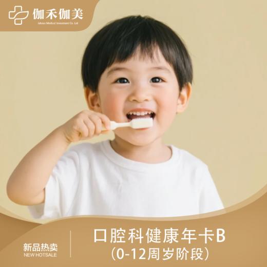 口腔科健康年卡B(0-12周岁阶段) 商品图0