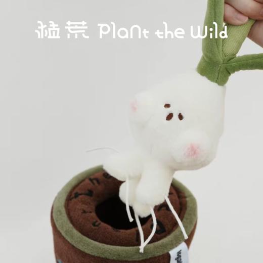 logaloga/B6014/黑骑士马蹄莲毛绒盆栽摆件 商品图1