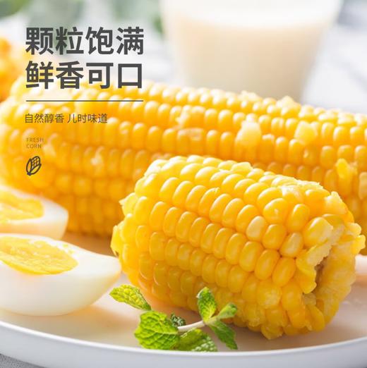 【YC】  新鲜甜糯玉米棒 粘苞米穗  非转基因 商品图0