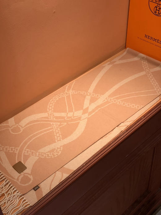 秋冬特惠💰350 爱马仕 巴黎时装展商务男士女士羊毛围巾 商品图5