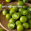  企鹅市集|四川大凉山 青玉小番茄3斤装 饱满水灵 爽甜味浓 商品缩略图0
