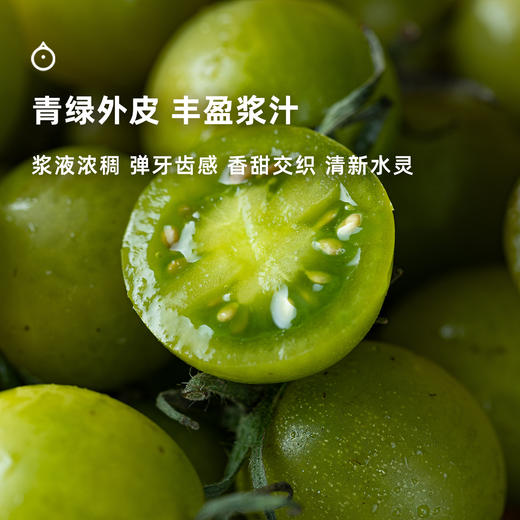  企鹅市集|四川大凉山 青玉小番茄3斤装 饱满水灵 爽甜味浓 商品图3