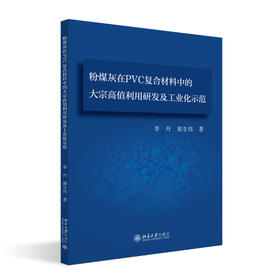 粉煤灰在PVC复合材料中的大宗高值利用研发及工业化示范 李丹 郭生伟 著 北京大学出版社