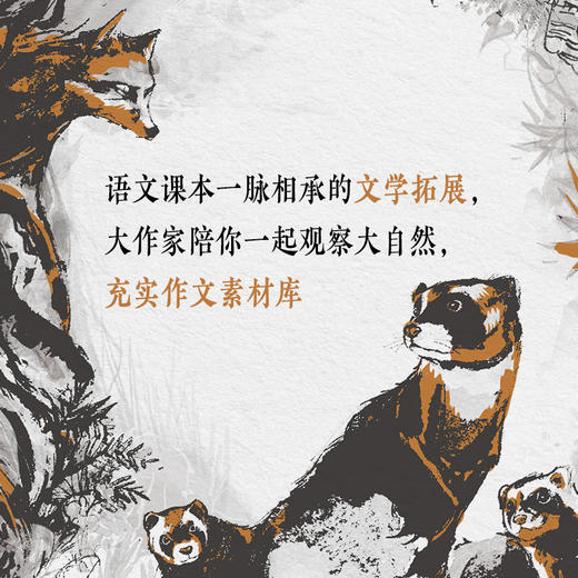 特鲁申·北境森林奇旅系列（3册） 商品图2