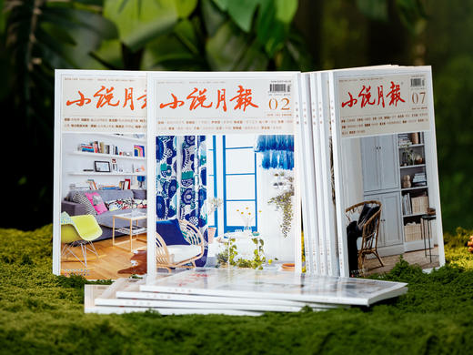 《小说月报》2026全年订阅 | 全年12期，中国影视灵感源头、故事富矿，莫言、余华、苏童的成名起点 ，提升语言质感、思维深度和审美格局，一整年的高品质滋养 商品图6