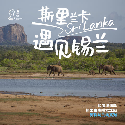 「2027寒假」遇见锡兰 · 斯里兰卡自然探险之旅 商品图0