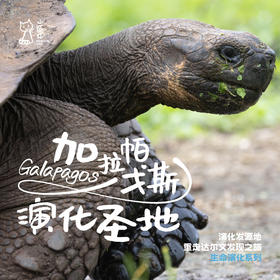 「暑假」演化的圣地 · 重走达尔文探索发现之旅