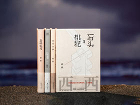《西西作品集》（精装全4册）|华文世界最有童心的作家，文字真实治愈人心，人生困惑、痛苦、迷茫时，就读一读西西