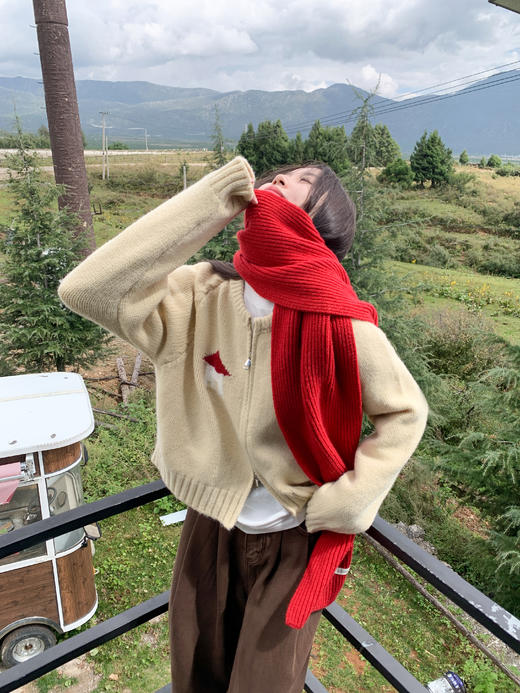 <曾小咸推荐>现货秒杀 ！微信超特价！2色复古卡通绣花毛衣 日常199.99 立减100 秒杀99.99！！ 商品图8