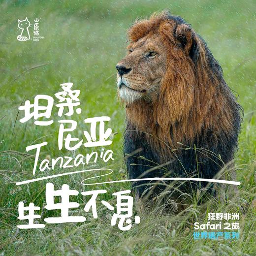 「2027寒假」生生不息 ·坦桑尼亚自然发现之旅 商品图0