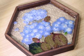 《花凝六角窗》玻璃茶盘