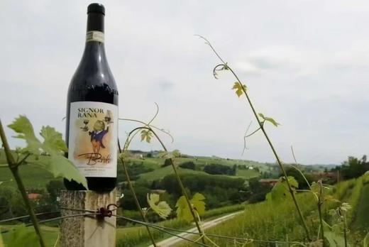 超低价捡漏意大利酒王Barolo！ 商品图2