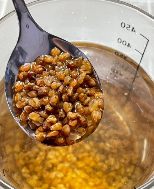 【果然U品黑苦荞茶】🌟汤色金黄透亮，麦香醇厚悠长，入口清爽回甘🍵 ✅源自四川大凉山的黑苦荞✅整粒慢火烘焙，颗粒饱满分明，出汤清澈，入口甘甜 商品图8