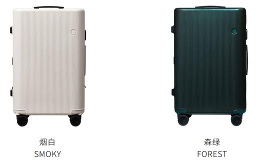 PISTACHIO STRIPED  旅行箱 商品图1