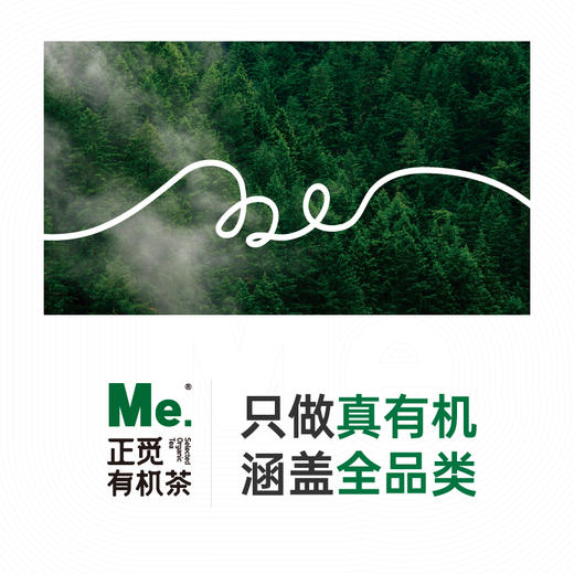 有机老茶头   30g*8罐 商品图4