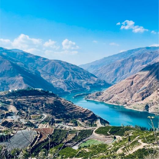 云南大理有机沃柑（连续9年有机认证） 商品图11