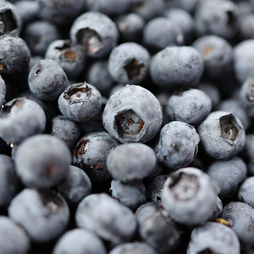 【云南抚仙湖高原蓝莓】一口唤醒味蕾 香甜爽口 果香浓郁 优选好果 甜蜜多汁 商品图3