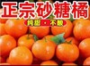 广西特产沙糖桔 商品缩略图1