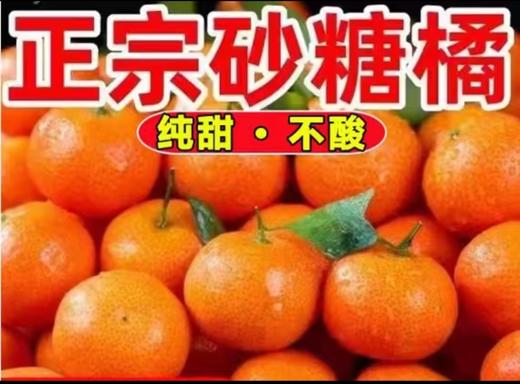 广西特产沙糖桔 商品图1