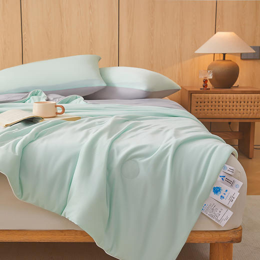 "因为+所以 / Because & So   云母绿+山灰-云母氨纶凉感丝夏凉被" 商品图3
