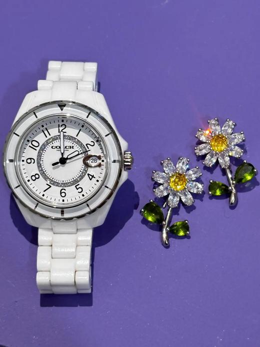 COACH蔻驰 GREYSON 腕表 石英机芯 陶瓷表带 商品图4
