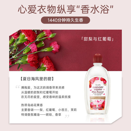【3瓶特惠】泰国芝芙莲内衣洗衣液500ml*3瓶装 (NN00) 商品图11