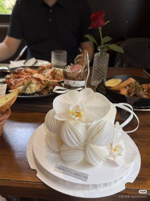 4寸蝴蝶兰 商品图0