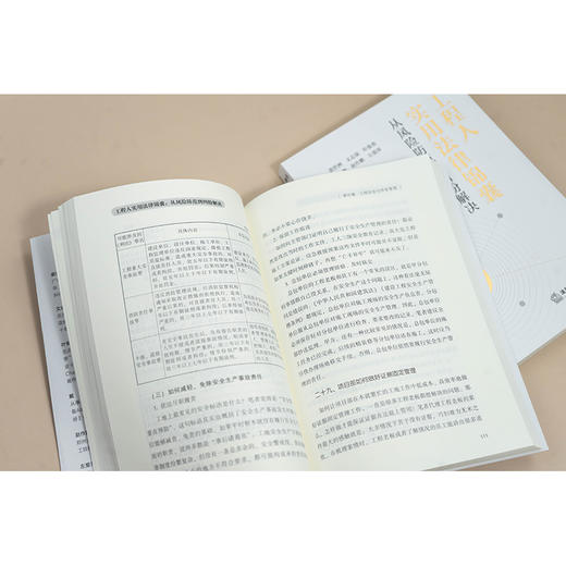 工程人实用法律锦囊：从风险防范到纠纷解决 裴世洲 文志强 叶俊希 戴奎 赵作鹏 左爱萍编著 法律出版社 商品图4