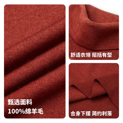 【门店同款&100%绵羊毛】圣得西2025年冬季男士针织衫高领毛衫 商品图4
