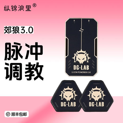 地牢实验室“郊狼”专业级情趣电击主机3.0 商品图0